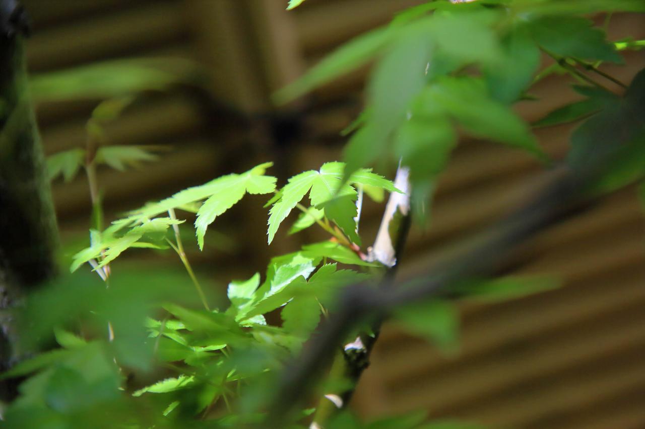 Kyo Machiya Ryokan Yuan Kyoto Buitenkant foto